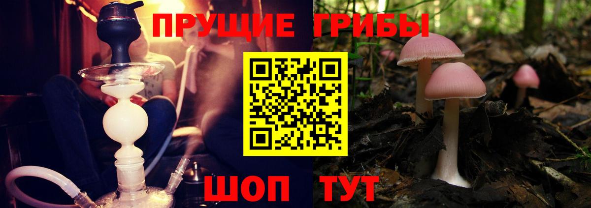 Усть-Джегута  Галлюциногенные грибы ЛСД  Галлюциногенные грибы Cubensis  Вход с VPN 