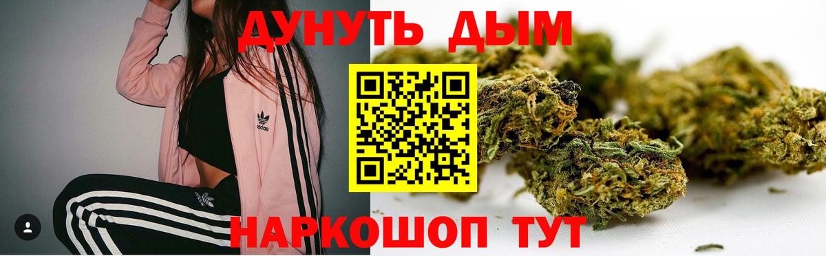 Марихуана конопля Усть-Джегута